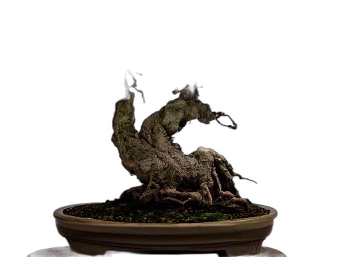 dragon, tree, creature, staff transparent PNG cut-out