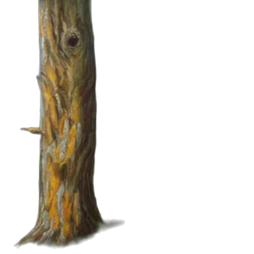 tree, staff, creature, sword transparent PNG cut-out