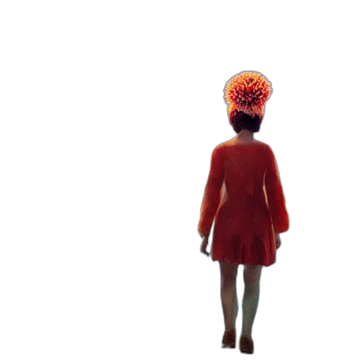 hat, crown, jacket, hair transparent PNG cut-out