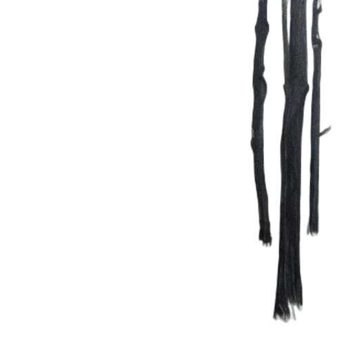 staff, hair, sword, umbrella transparent PNG cut-out