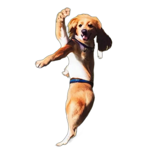 animal, staff, creature, photorealistic, pixel art, concept art, oil painting, dog transparent PNG cut-out
