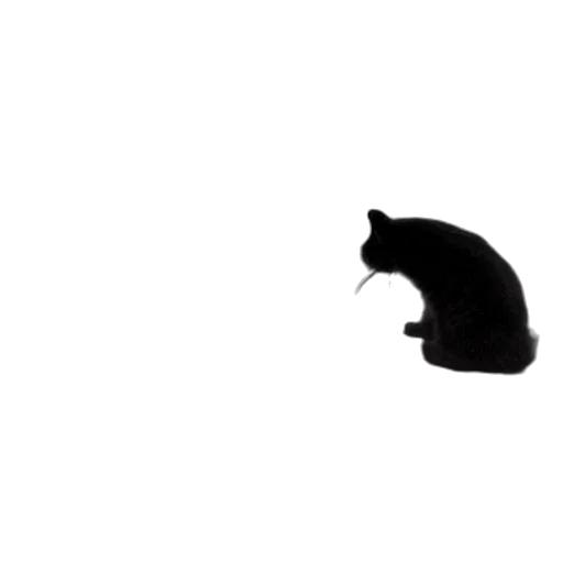 animal, creature, hat, staff, photorealistic, pixel art, concept art, outer space transparent PNG cut-out