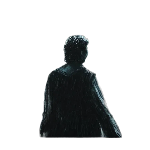 jacket, crown, face, hair transparent PNG cut-out
