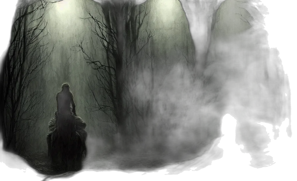 concept art, fantasy art, comic book art, photorealistic, fog, forest, night, snow transparent PNG cut-out