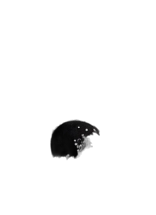 hat, hair, crown, mask transparent PNG cut-out
