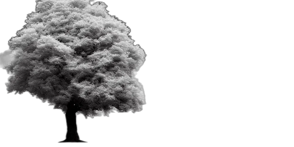 tree, umbrella, hair, crown, photorealistic, concept art, pencil sketch, 3d render transparent PNG cut-out