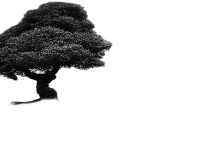 tree, hair, hat, crown, photorealistic, 3d render, concept art, forest transparent PNG cut-out