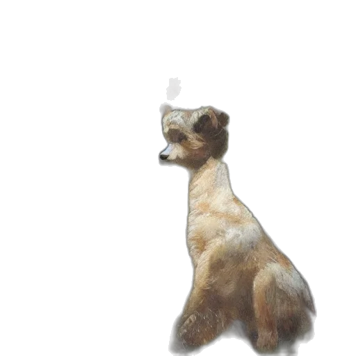 animal, staff, creature, hair transparent PNG cut-out