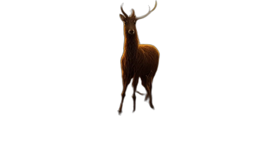 animal, creature, hair, crown, 3d render, photorealistic, concept art, pixel art transparent PNG cut-out