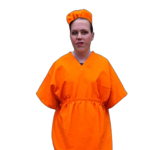 dress, staff, jacket, animal, bee, wearing, orange, inmate transparent PNG cut-out