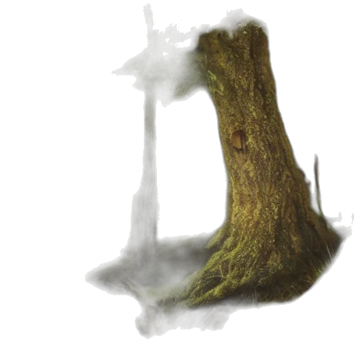 tree, dragon, crown, hair transparent PNG cut-out