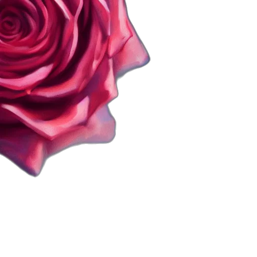 flower, face, mask, crown transparent PNG cut-out