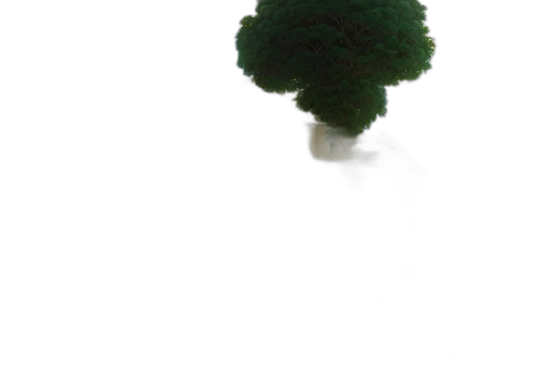 tree, crown, hat, hair transparent PNG cut-out