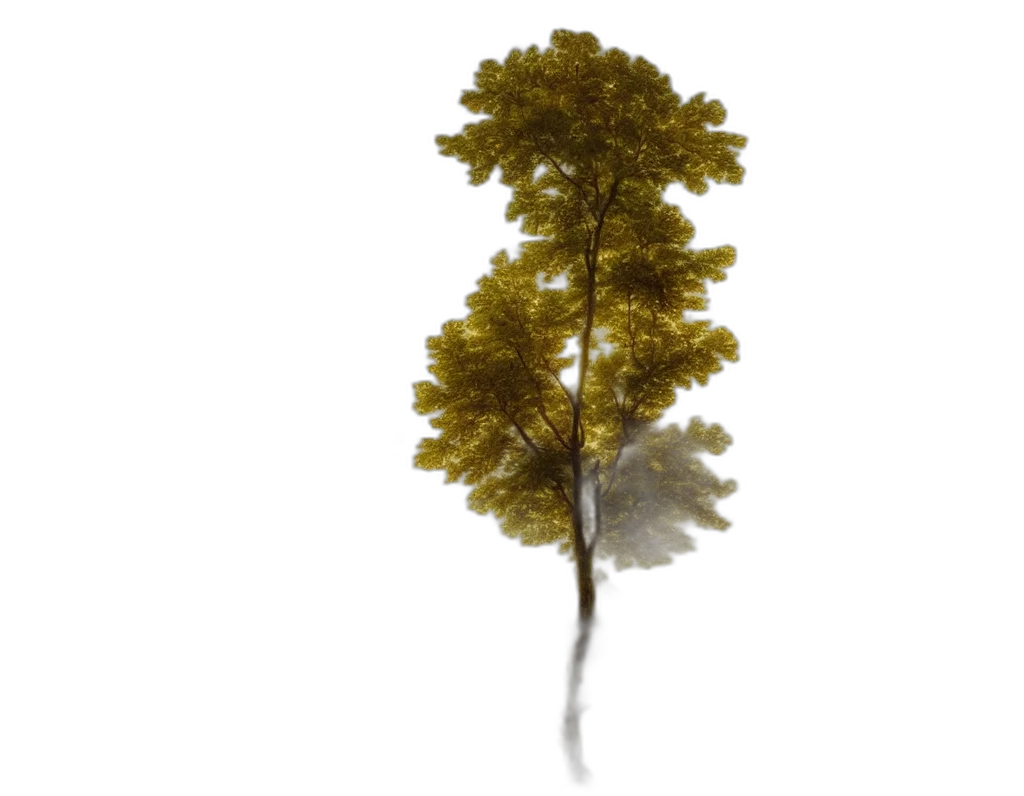 tree, crown, hair, staff, 3d render, photorealistic, concept art, fantasy art transparent PNG cut-out