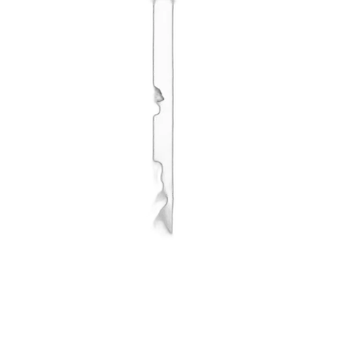 staff, sword, jewelry, weapon, pencil sketch, 3d render, highly, detailed transparent PNG cut-out