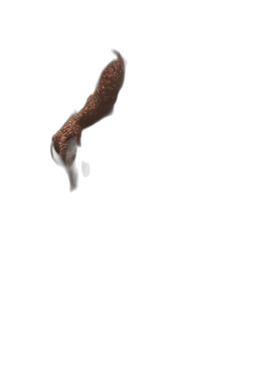 staff, creature, animal, hair, 3d render, photorealistic, concept art, fantasy art transparent PNG cut-out