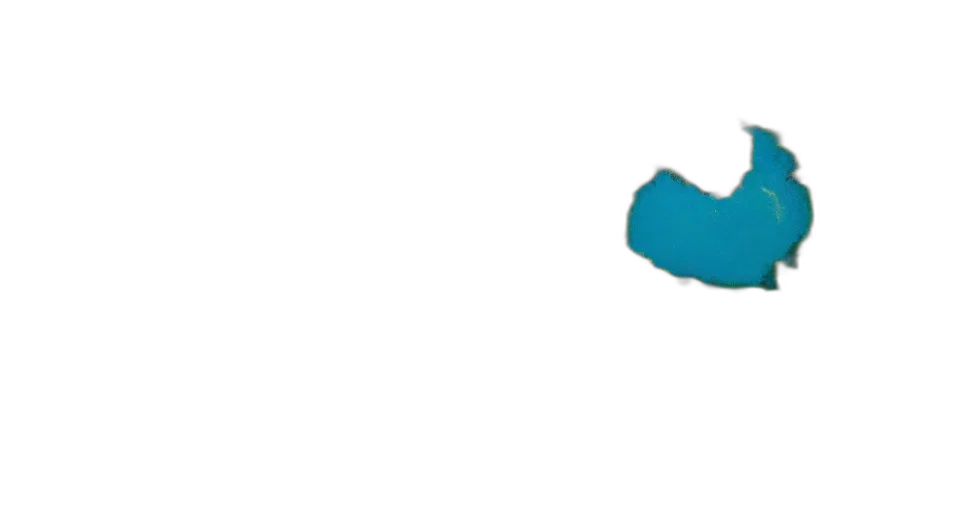 shoes, hat, staff, umbrella transparent PNG cut-out