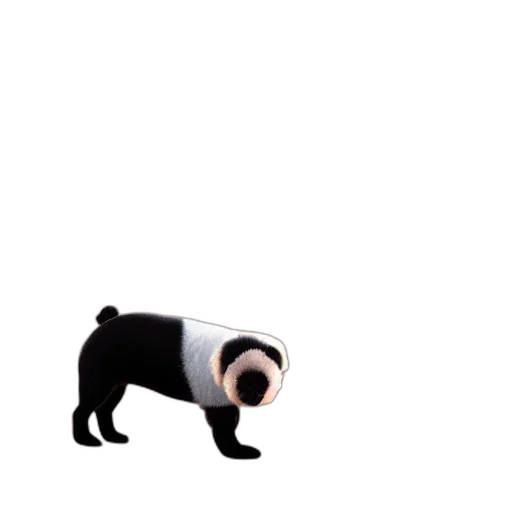 animal, creature, robot, dress transparent PNG cut-out