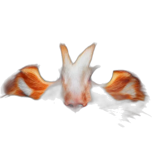 dragon, animal, creature, hair transparent PNG cut-out