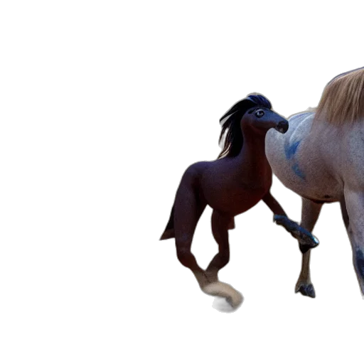 animal, hair, creature, 3d render transparent PNG cut-out