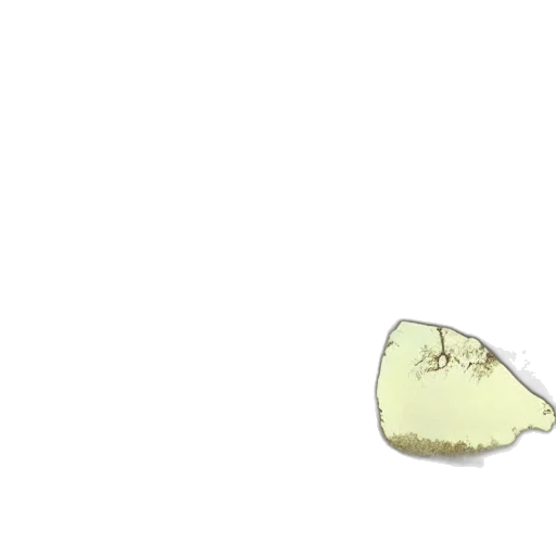 shoes, food, hair, hat, pixel art, concept art, 3d render, photorealistic transparent PNG cut-out