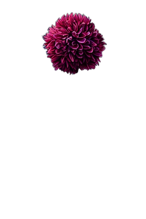 flower, crown, umbrella, jewelry, 3d render, photorealistic, pixel art, concept art transparent PNG cut-out