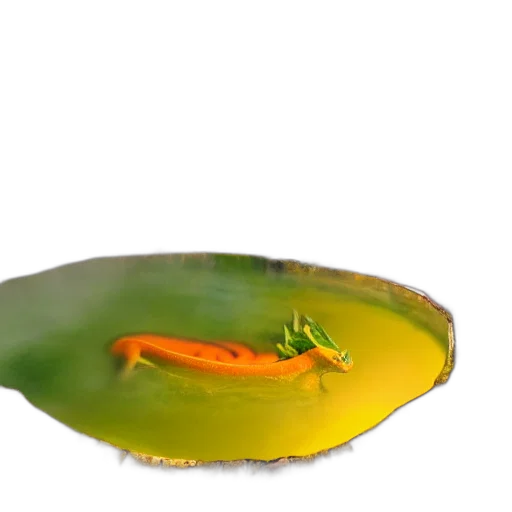 dragon, food, animal, creature, 3d render, photorealistic, concept art, oil painting transparent PNG cut-out