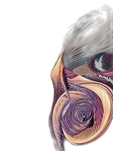 mask, face, hair, creature, watercolor, photorealistic, concept art, comic book art transparent PNG cut-out