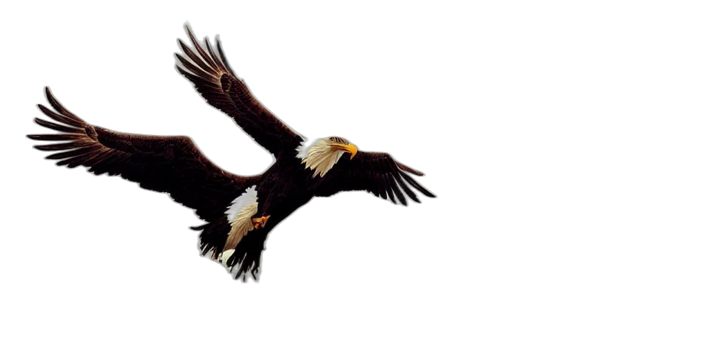 animal, creature, weapon, dragon, photorealistic, majestic, eagles, flying transparent PNG cut-out