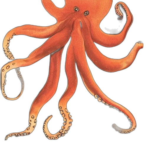 creature, animal, staff, crown, concept art, watercolor, octopus, man transparent PNG cut-out