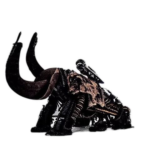 animal, shoes, weapon, creature transparent PNG cut-out