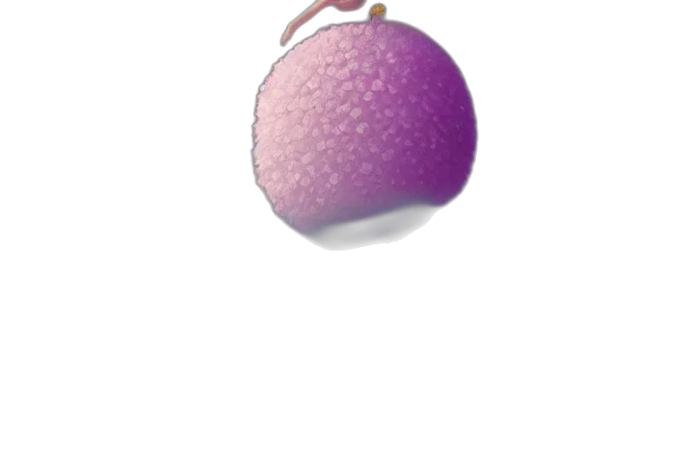 jewelry, food, crown, hat, 3d render, photorealistic, vaporwave, concept art transparent PNG cut-out