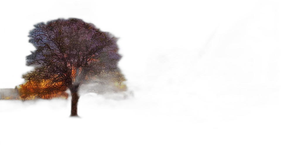 tree, umbrella, dress, robot, photorealistic, 3d render, concept art, watercolor transparent PNG cut-out