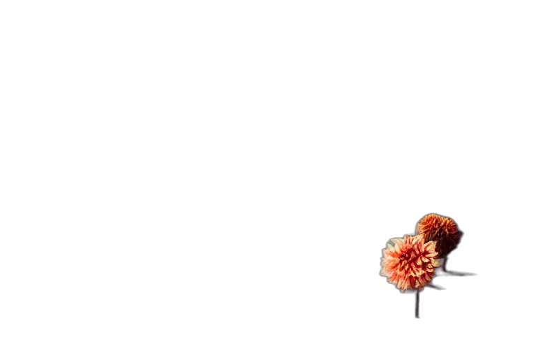 flower, crown, umbrella, tree, pixel art, 3d render, photorealistic, concept art transparent PNG cut-out