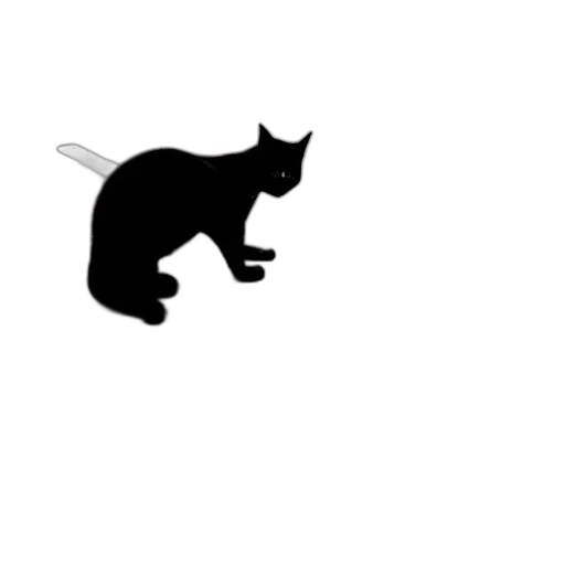animal, staff, creature, hat transparent PNG cut-out