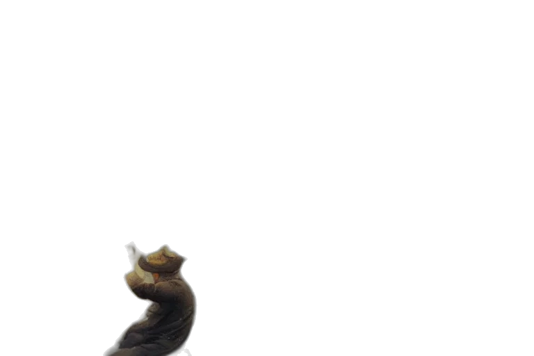 animal, staff, dragon, creature transparent PNG cut-out