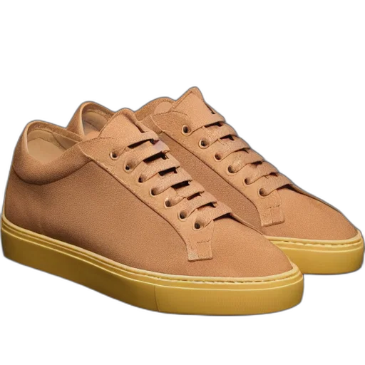 shoes, sneaker, inspired, swiss transparent PNG cut-out