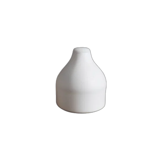 bottle, jewelry, hat, food, 3d render, photorealistic, salt, pig transparent PNG cut-out