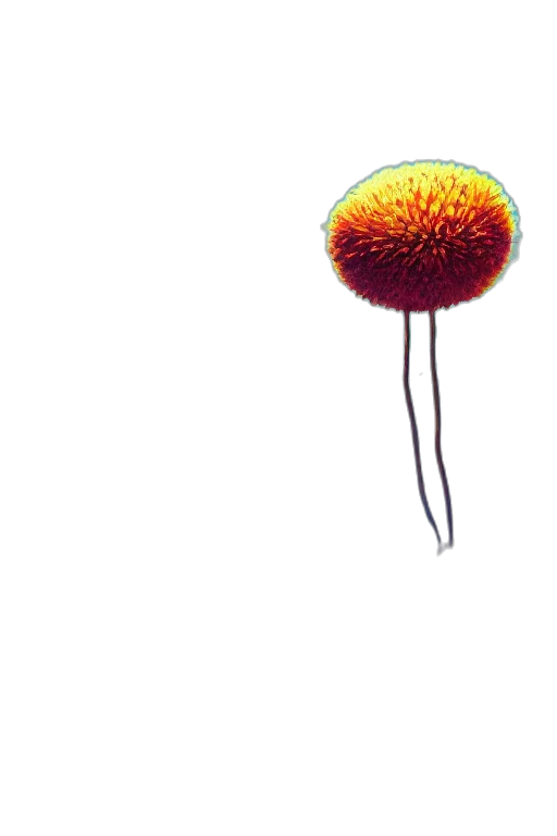 hair, flower, umbrella, staff, 3d render, concept art, pixel art, photorealistic transparent PNG cut-out