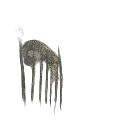 creature, animal, hair, mask, concept art, watercolor, pencil sketch, photorealistic transparent PNG cut-out