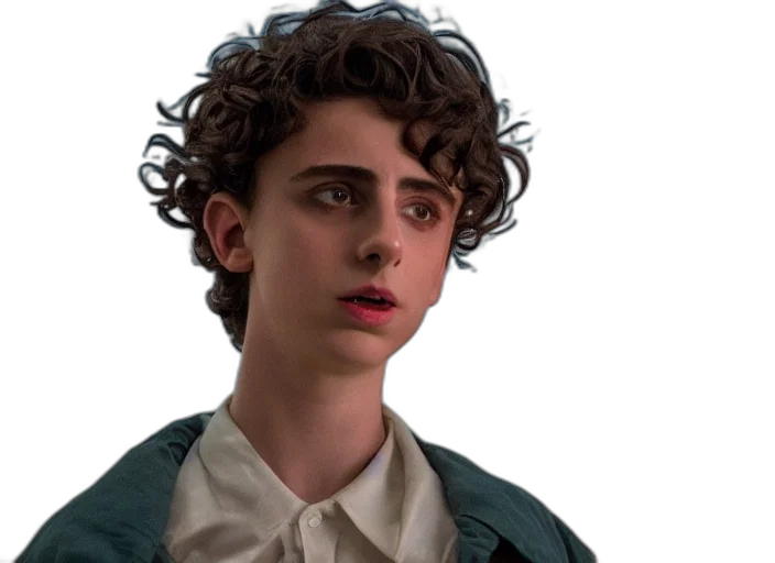 hair, jacket, face, photorealistic, concept art, timothee, chalamet, stranger transparent PNG cut-out