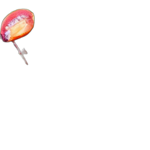umbrella, weapon, staff, food transparent PNG cut-out