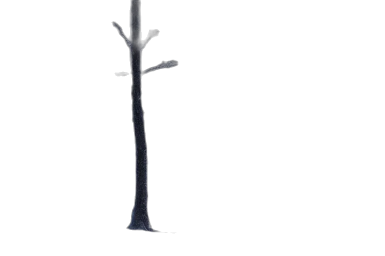 tree, staff, crown, furniture, 3d render, concept art, pixel art, photorealistic transparent PNG cut-out