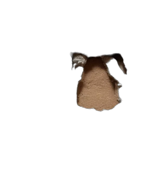 hair, mask, hat, animal, 3d render, photorealistic, concept art, pixel art transparent PNG cut-out