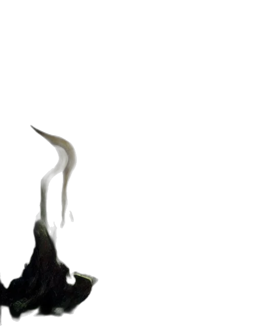 sword, staff, weapon, dragon, concept art, 3d render, fantasy art, photorealistic transparent PNG cut-out