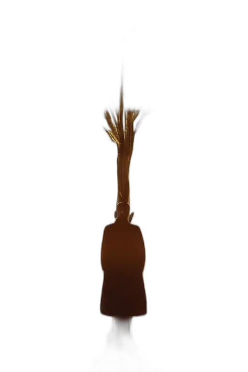 hair, staff, hat, crown transparent PNG cut-out