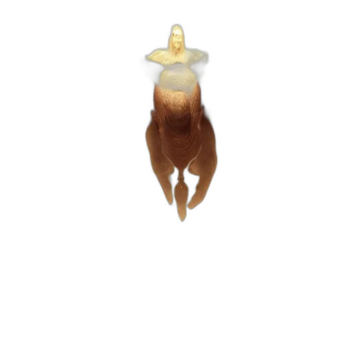 crown, animal, hair, jewelry, concept art, 3d render, pixel art, photorealistic transparent PNG cut-out