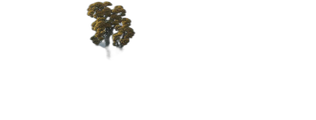 tree, crown, hair, jewelry transparent PNG cut-out