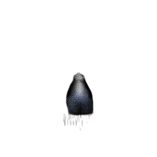 hat, robot, animal, hair transparent PNG cut-out