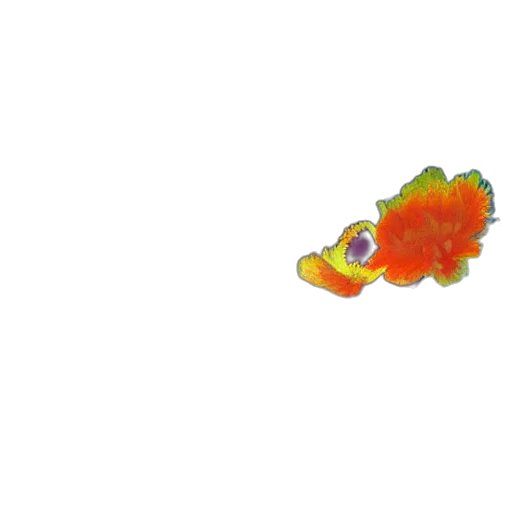 animal, creature, dragon, staff transparent PNG cut-out